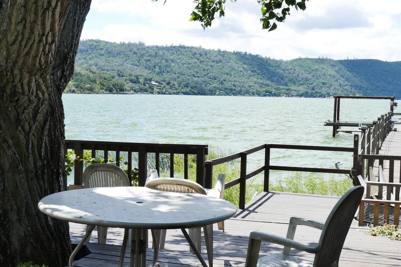 Apartmán Mt Konocti View Clearlake Exteriér fotografie